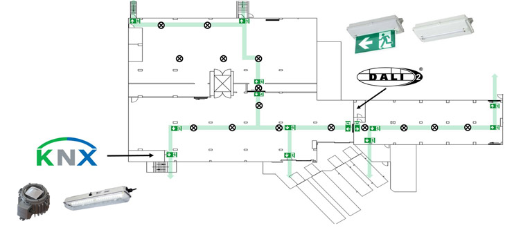 Ex Floorplan Lighting DALI R. STAHL Ex Floorplan Lighting DALI R. STAHL